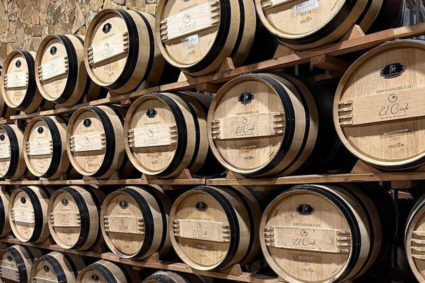 Valle de Guadalupe Vineyard Wagon Tour & Wine Tasting 2