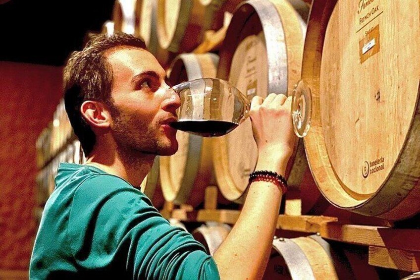 Valle de Guadalupe Premium Wine and Vineyard Wagon Tour 2