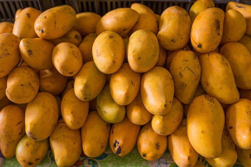 Mexican Cooking from Scratch in a Local Home in Tulum 4
