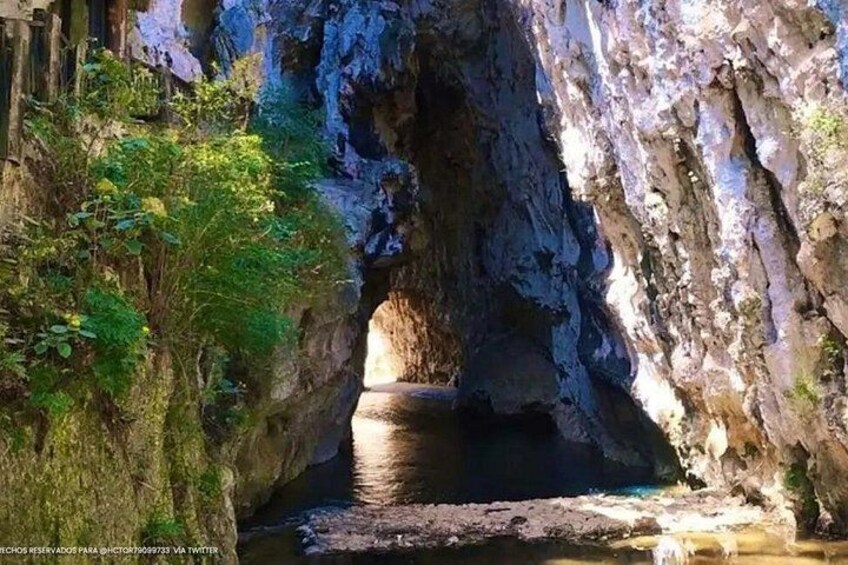 Entrada de cueva con agua que fluye, rodeada de vegetación. 2