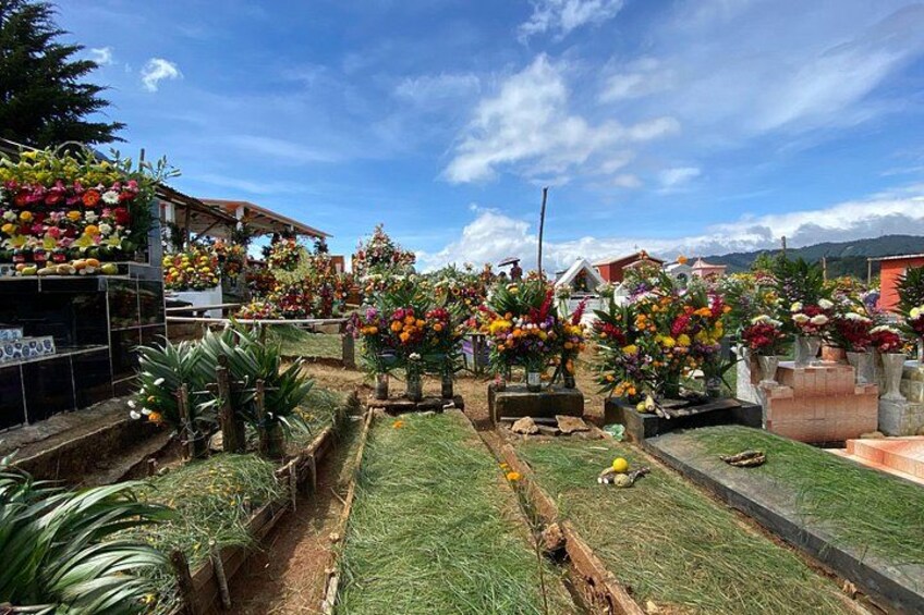 Un cementerio con numerosas lápidas adornadas con flores de colores. 2