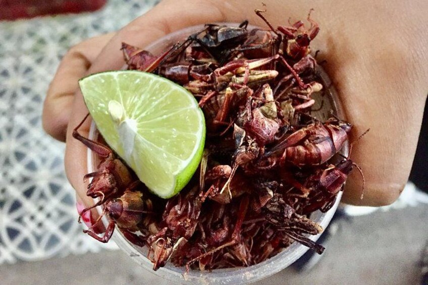 Une main tenant un bol rempli d’insectes séchés, avec un quartier de citron vert à côté. 4