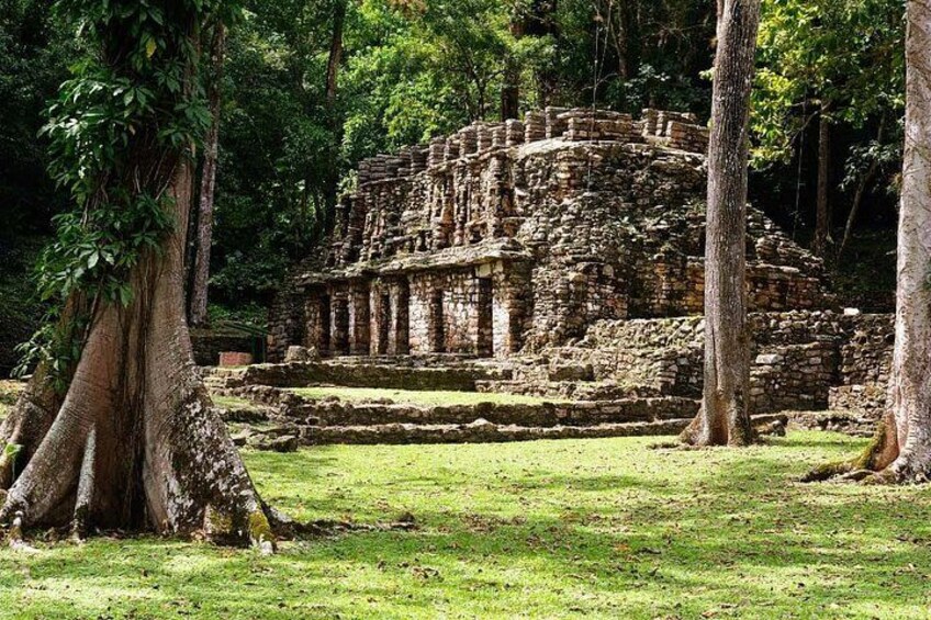 An ancient stone structure surrounded by trees. 1