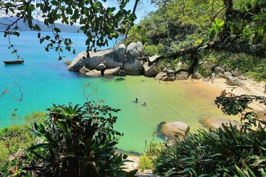 Praia do Cação with possible sighting of Sea Lions By Zimbros Ecotour