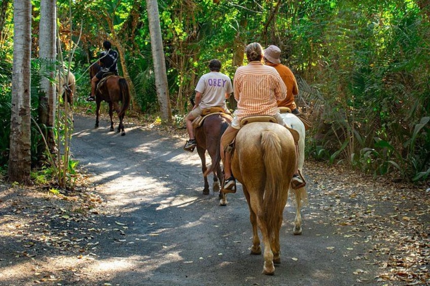 Un gruppo di persone cavalca lungo un sentiero sterrato, circondato da alberi. 2