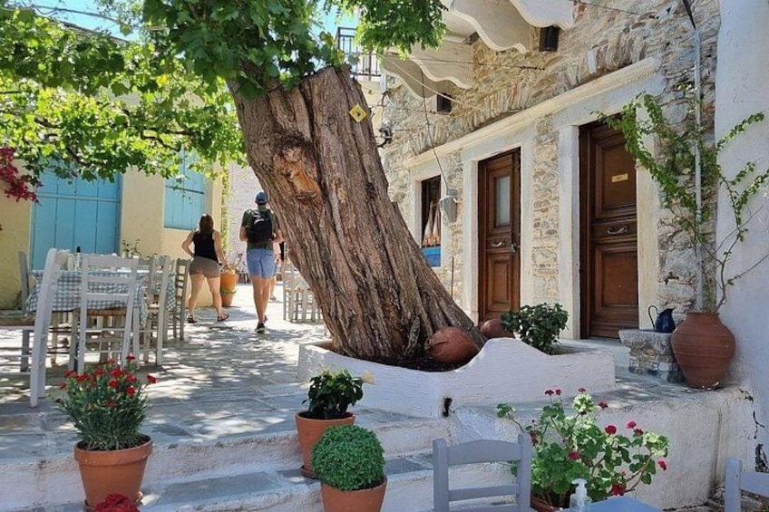 A stone building with a tree in front, outdoor seating, and potted plants. 5