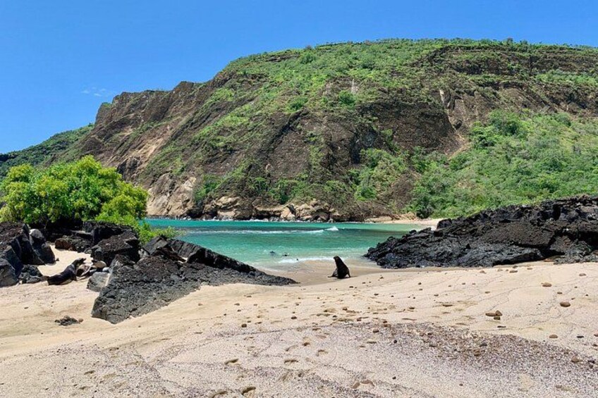 Une plage avec une grande formation rocheuse, une eau turquoise et limpide, et une colline boisée en arrière-plan. 2