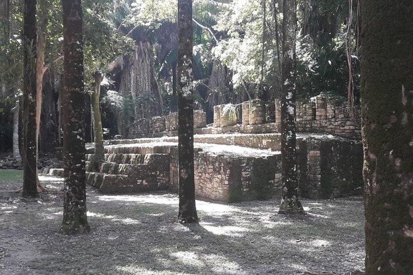 Ruinas antiguas de piedra con escalones y muros, rodeadas de árboles en una zona boscosa. 2