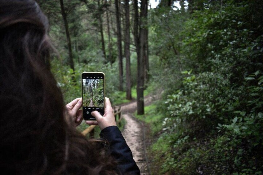 Discover the Lake Agnes Tea House Trail with a Guided Audio Hike