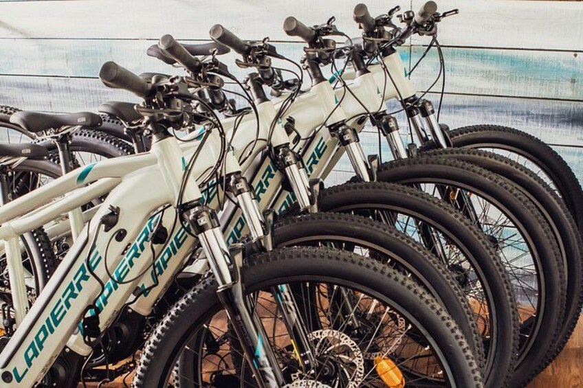 East Sussex Electric Bike Rental 1