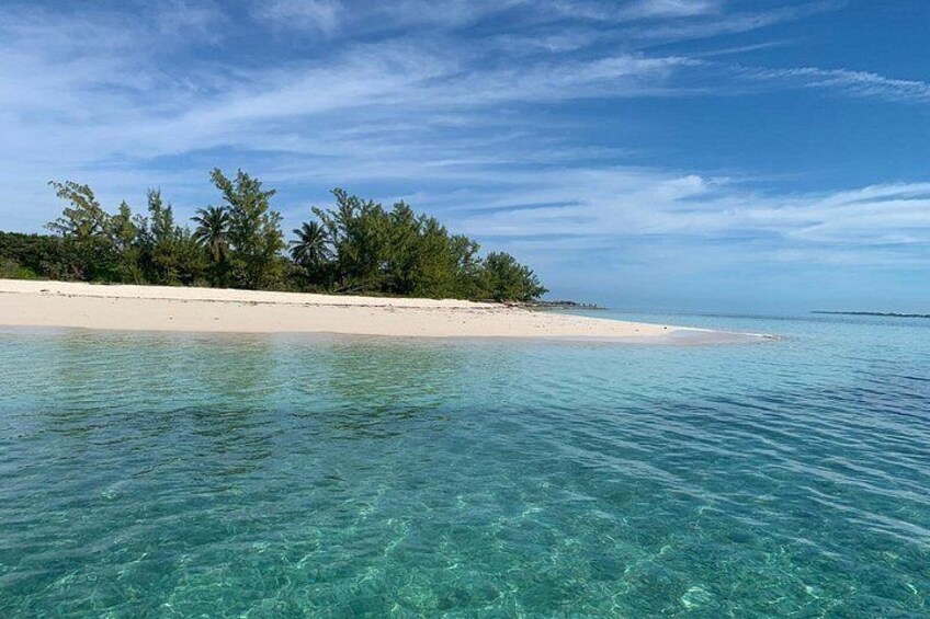 Un mar turquesa transparente, una playa de arena y una hilera de árboles verdes. 1