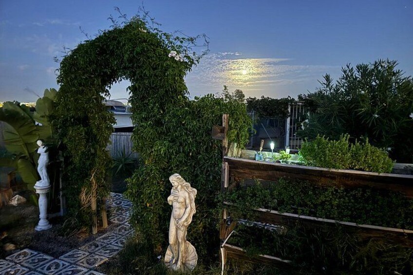 Astronomy Night - Family Stargazing in Finca Astronomica 2