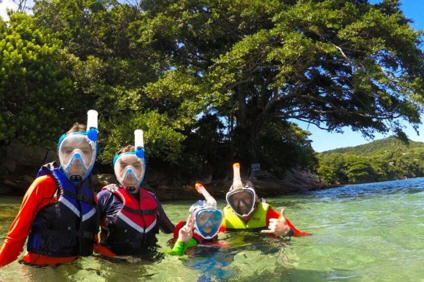 Snorkelers in clear water with a rocky shoreline and trees in the background. 5