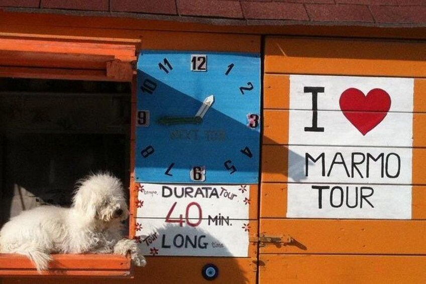 A dog sitting on a ledge, a clock, and a sign that says 'I love Marmo Tour'. 3