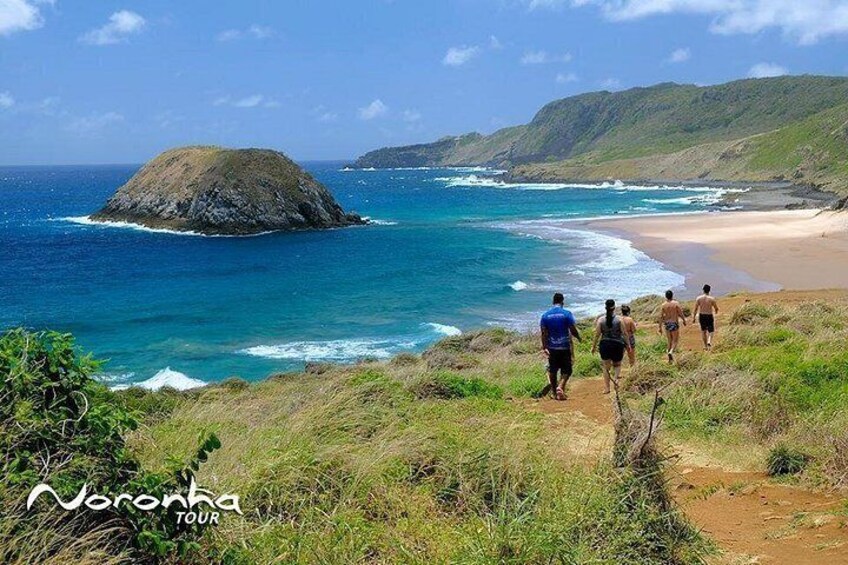 A coastal landscape with a sandy beach, ocean waves, and a grassy hill. 1