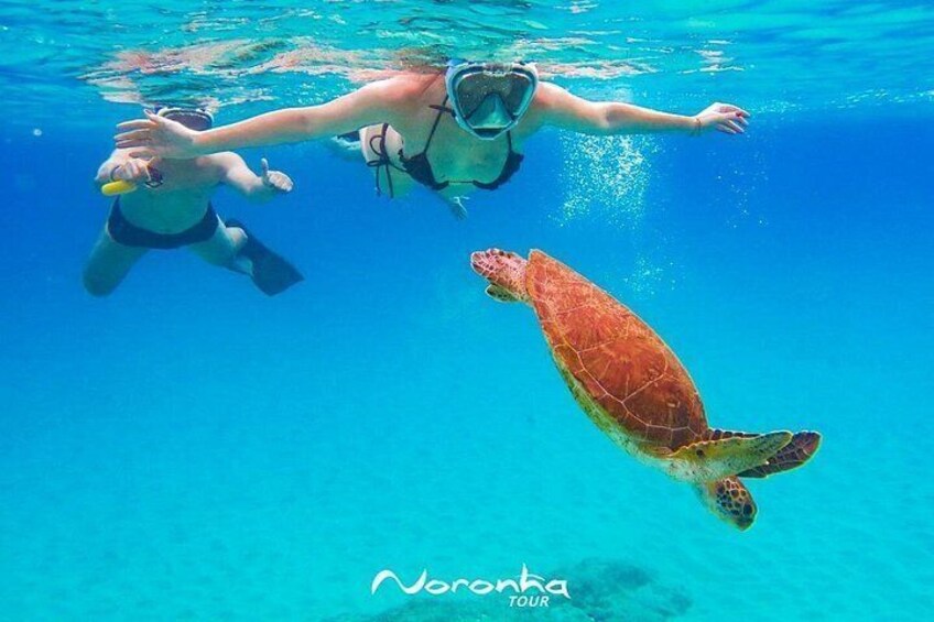 Two people snorkeling with a sea turtle in clear blue water. 2
