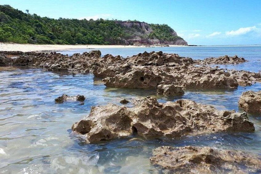 A rocky shoreline with clear water, a sandy beach, and a forested hill in the background. 2