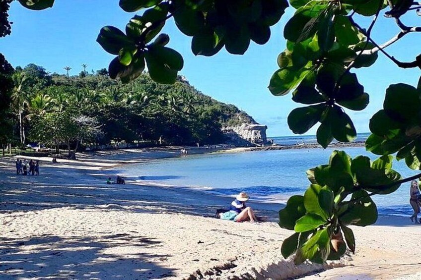 A beach with people, palm trees, and a cliff in the background. 3