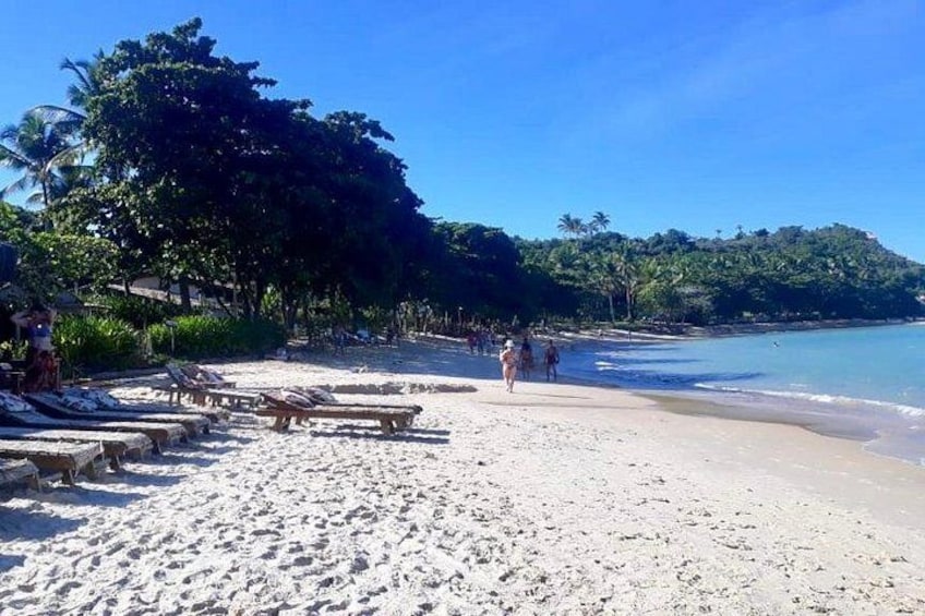 A beach with lounge chairs, palm trees, and a clear sky. 4