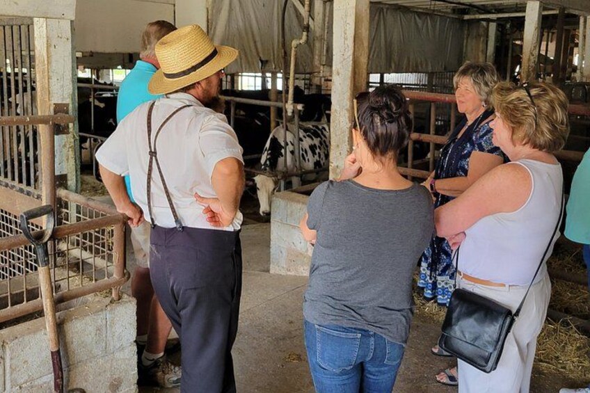 Unique Amish Immersion in Lancaster 3