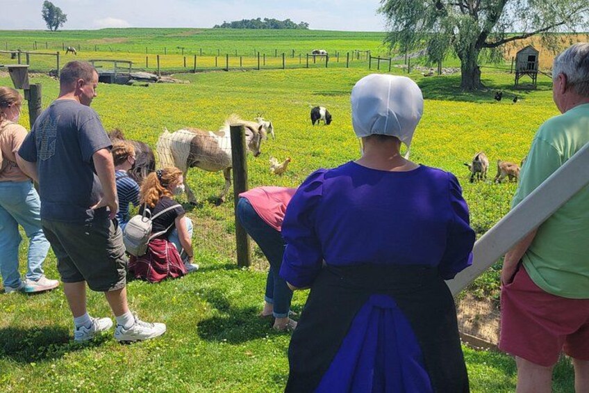 Unique Amish Immersion in Lancaster 2