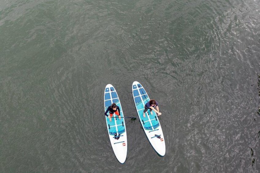 Learn to Paddle Board on the San Francisco Bay! 2