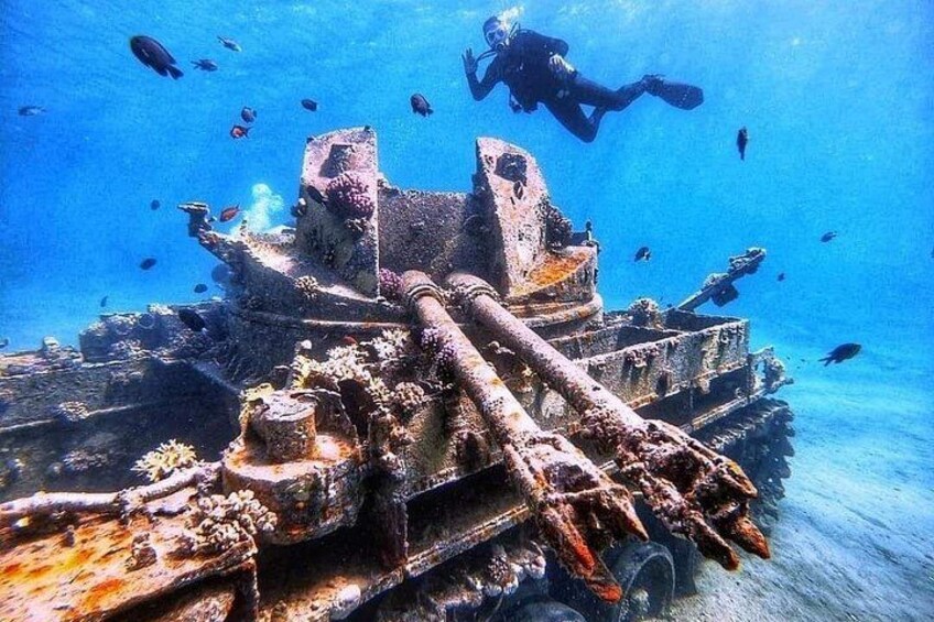 A sunken shipwreck with coral growth and a diver in the water. 1
