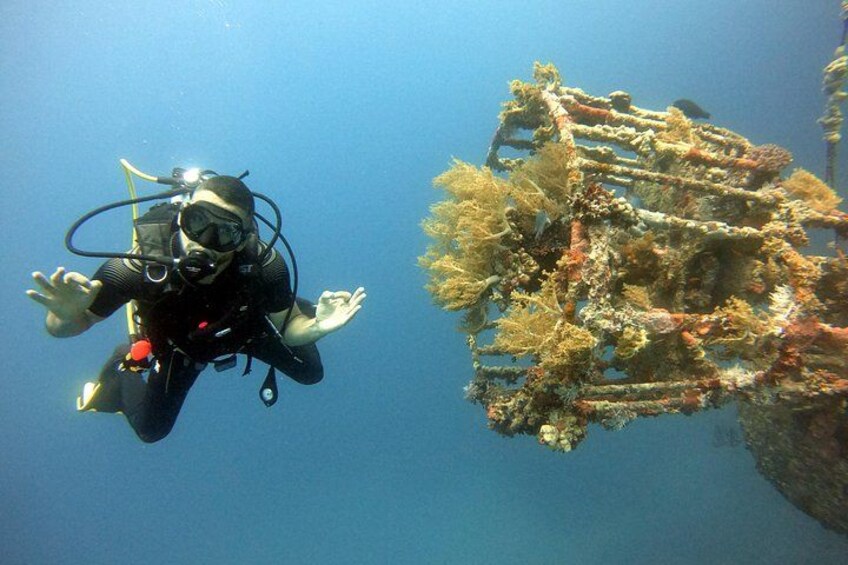 A diver with a scuba tank and fins, swimming near a coral reef. 5