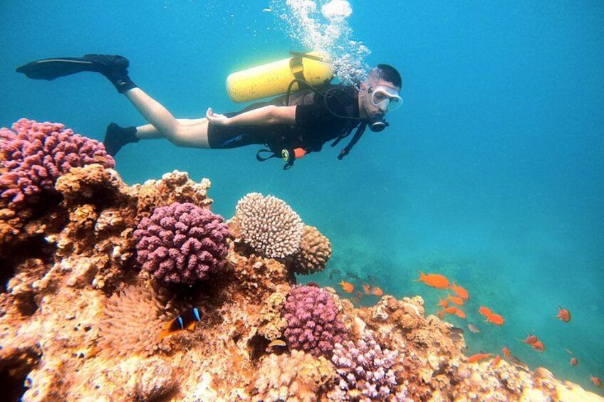 A diver with a yellow oxygen tank swimming near colorful coral formations. 3