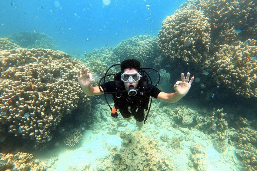 A diver underwater with coral formations and fish in the background. 4