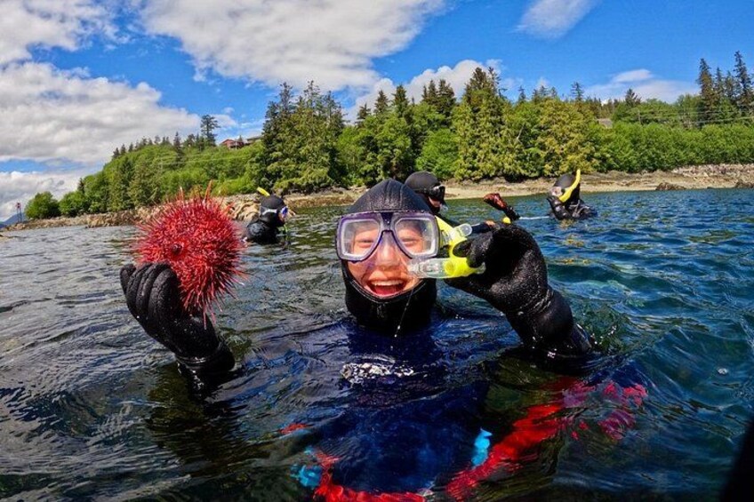 Check out the Sea Urchin 2