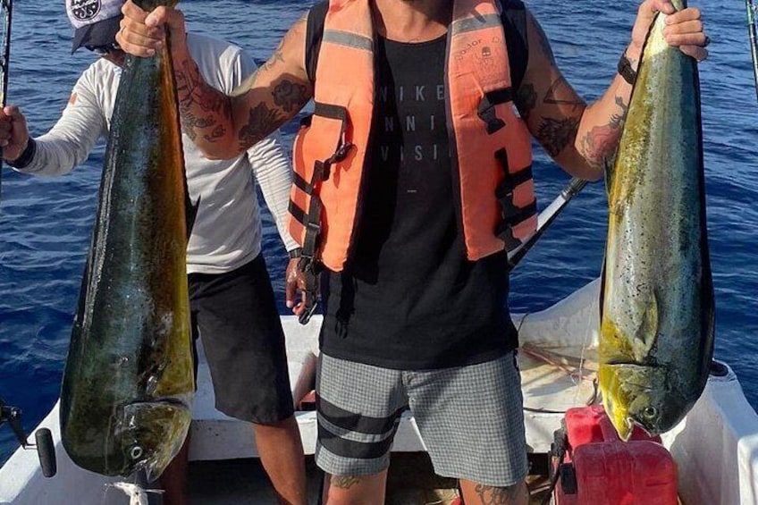 Mahi Mahi 4