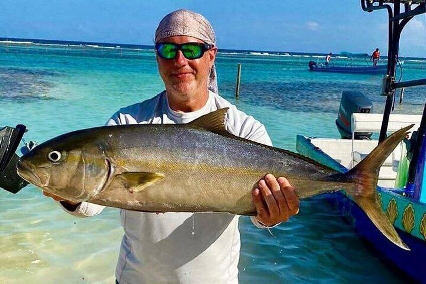 Amberjack 2