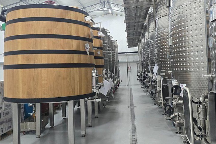 Durres Vineyards,Wine Tasting & Boat Lake Experience 4