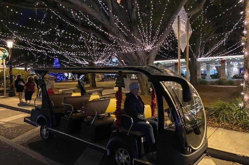 A small vehicle with a canopy, parked on a street with trees decorated with lights. 3
