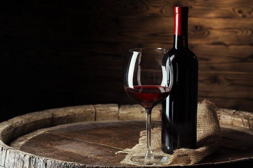 Wine Experience in farm vineyard & winery from Montecatini 1