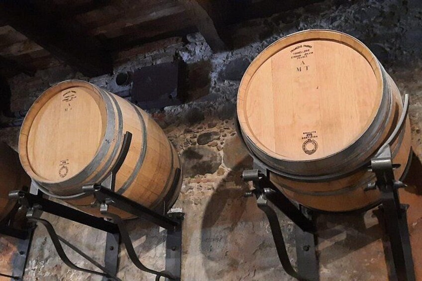 Wine Experience in farm vineyard & winery from Montecatini 3