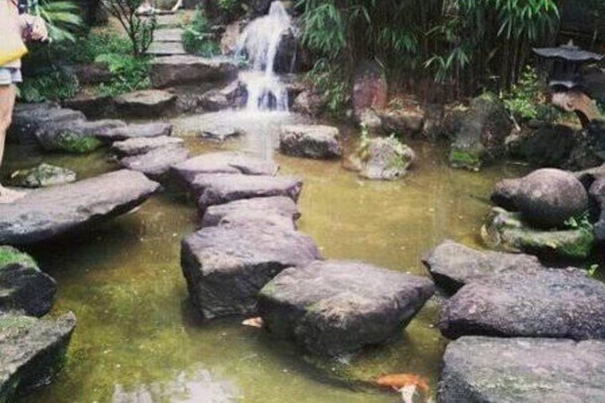 Un jardin de rocaille avec une petite cascade, entouré de rochers couverts de mousse et de verdure. 5