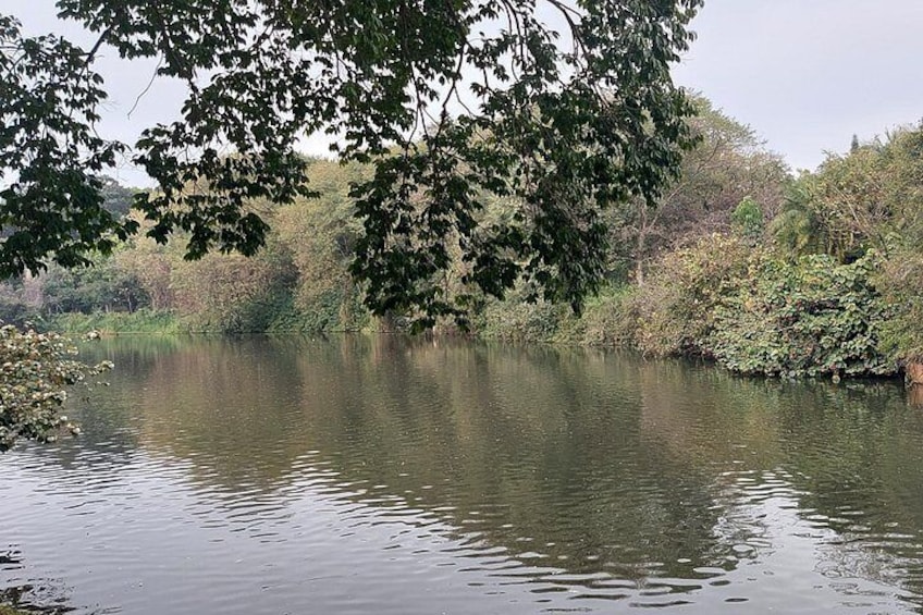 A calm lake surrounded by trees and vegetation. 2
