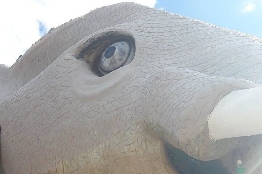 A close-up of a large elephant statue with textured skin and a prominent eye. 2