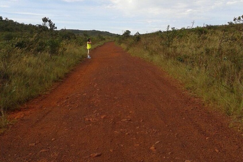 A dirt road flanked by grass and shrubs, leading to a hilly landscape. 5