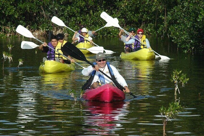 Tour to the Petenes Biosphere from Campeche