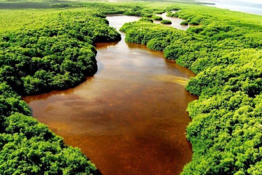 Tour to the Petenes Biosphere from Campeche