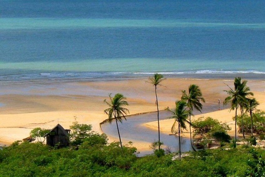 A beach with palm trees and a small hut. 2