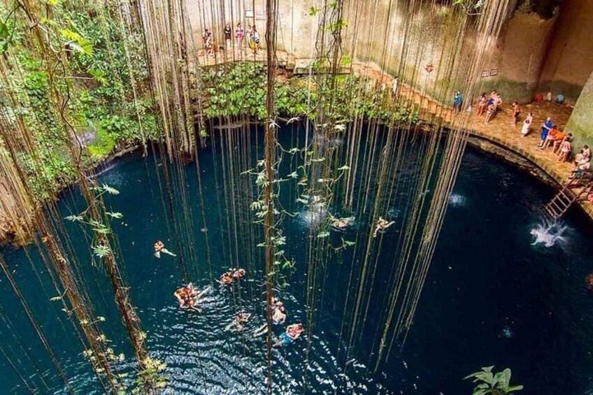 A natural pool with hanging vines and people swimming. 4
