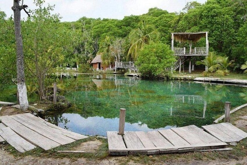 A clear pond with wooden docks, surrounded by lush greenery and a small hut. 3