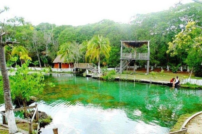 A clear pond surrounded by lush greenery, a wooden dock, and a small wooden structure. 2