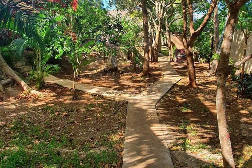 Ancestral Mayan Private Culinary Experience in Merida 4