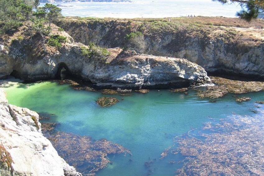 China cove is this magic little jewel, tucked between cliffs. The harbor seals have taken up residence there. Visiting in the spring allows you to spot the new babies up close. 1