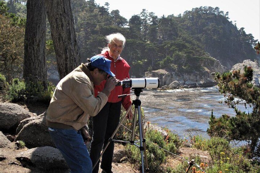 With the high powered telescope you can "spy" wildlife way out in the water. The Dome is in the distance across Blue Fish cove. 2